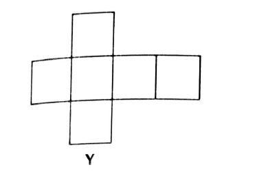 Cross-shaped net of six equal squares labelled Y